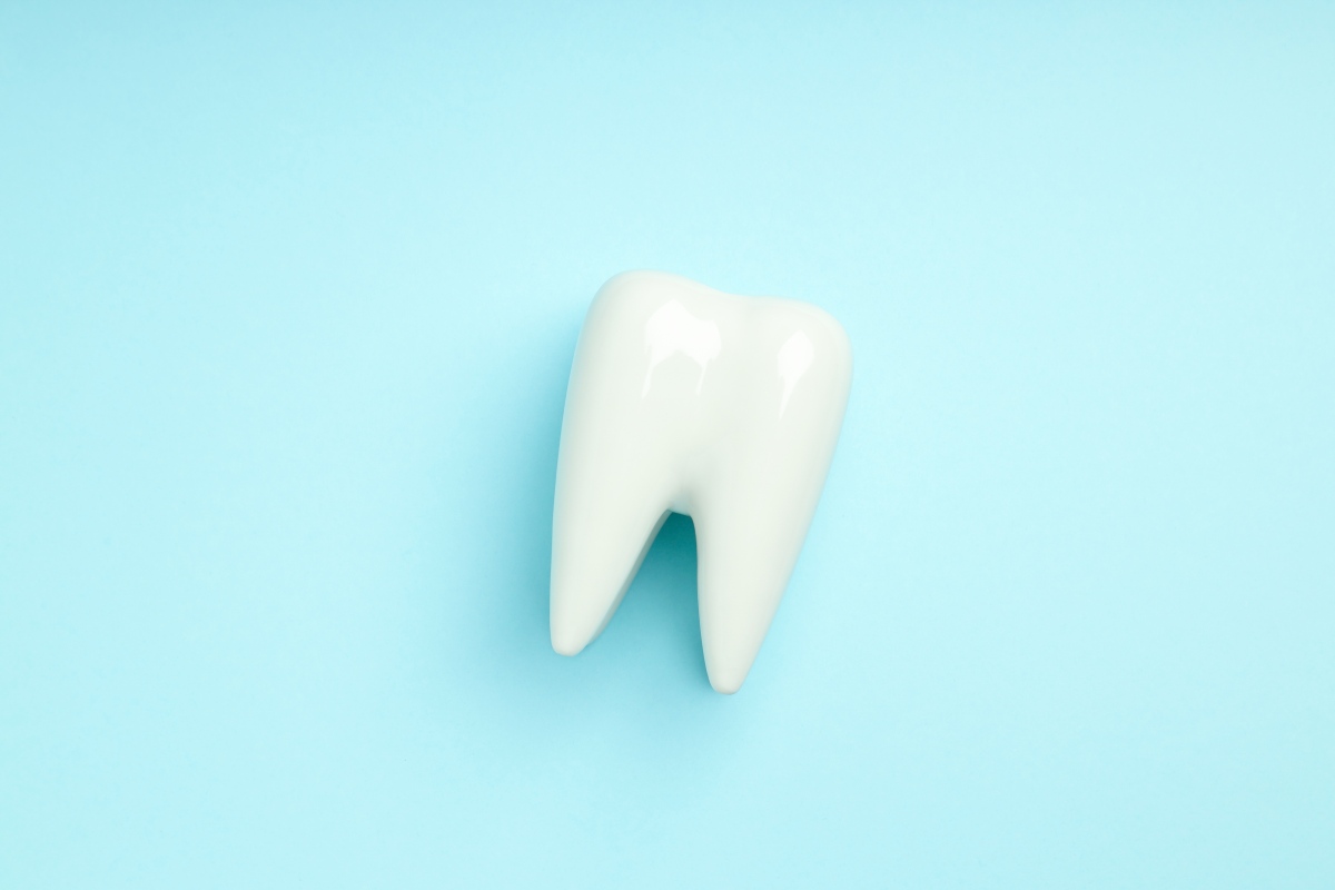korona zęba
